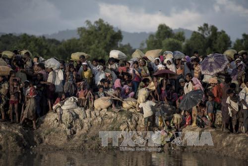 Bangladesh và Myanmar phối hợp với UNHCR hồi hương người Rohingya ảnh 1